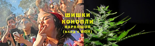 дживик Кинешма