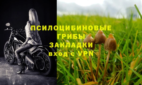 дживик Кинешма