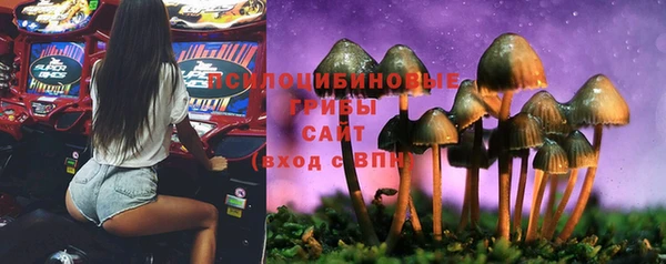 дживик Кинешма